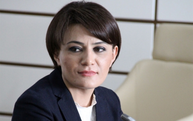 Sona Əliyeva: “Deputatlığa namizəd olmaq tək mənim qərarım deyildi” - MÜSAHİBƏ   