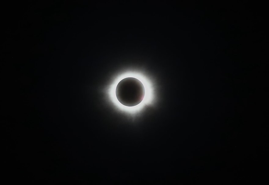 1337639